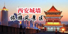 淫肉洞中国陕西-西安城墙旅游风景区